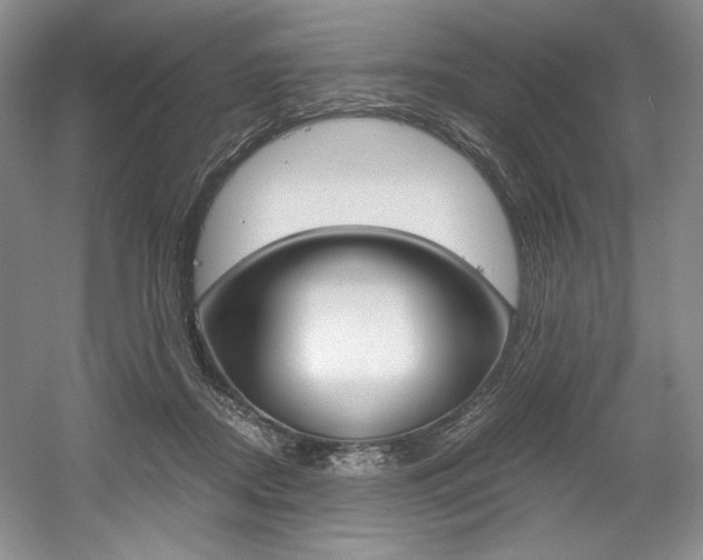X0000056020362200508190926