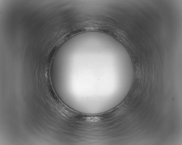 X0000056020363200508190926