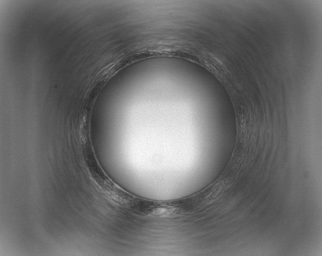 X0000056020364200508190926