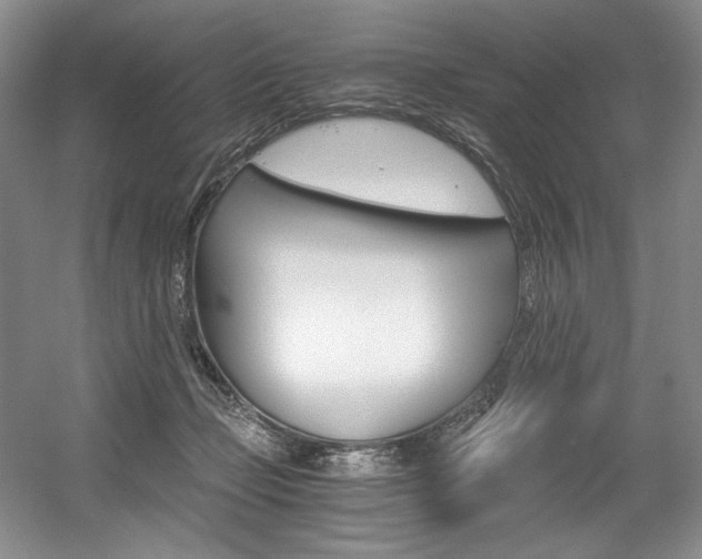 X0000056020365200508190926