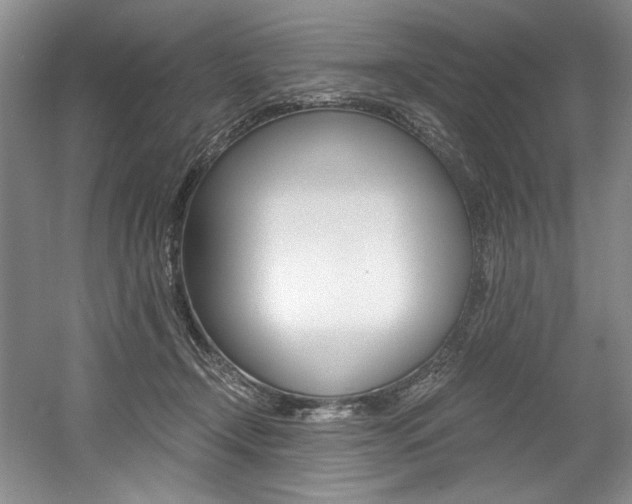 X0000056020366200508190926