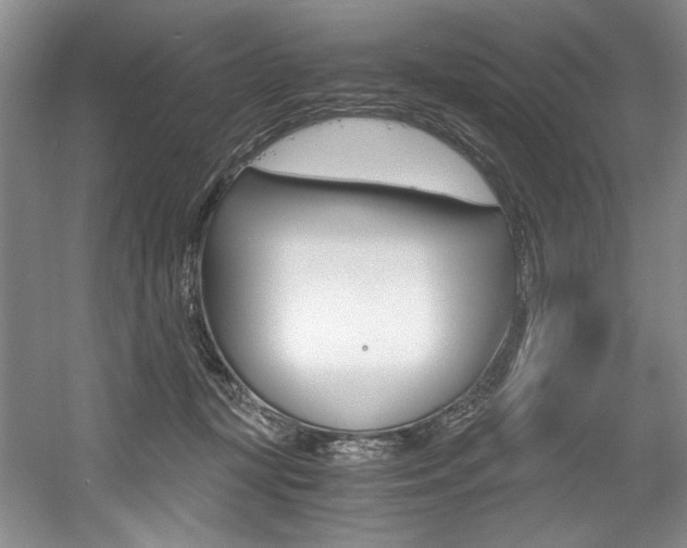 X0000056020367200508190926