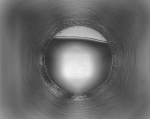 X0000056020368200508190926