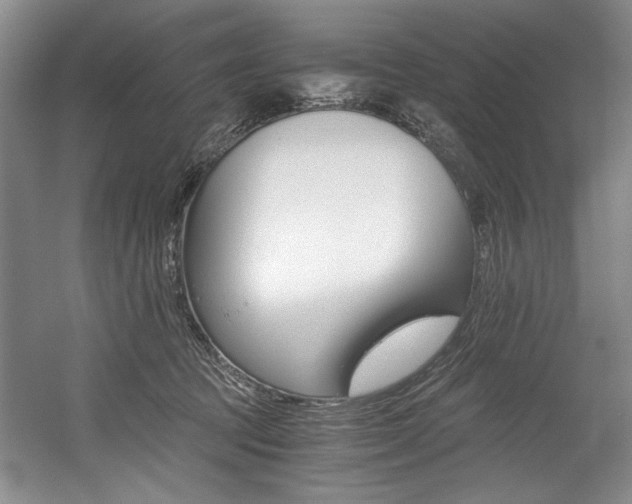 X0000056020369200508190926