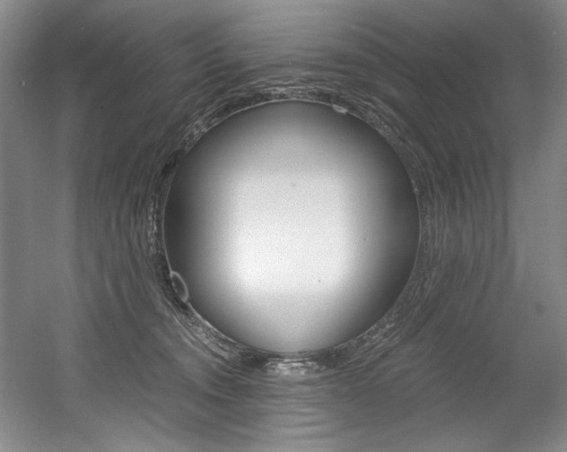 X0000056020372200508190926