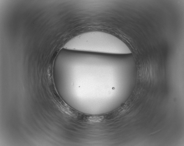 X0000056020373200508190926
