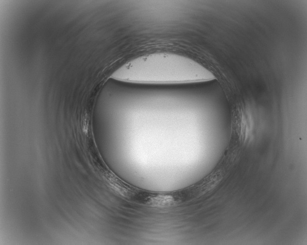 X0000056020374200508190926
