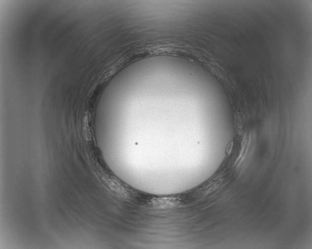 X0000056020378200508190926