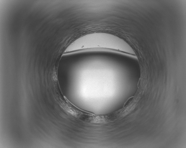 X0000056020384200508190926