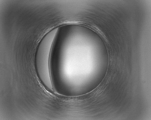 X0000056020385200508190926