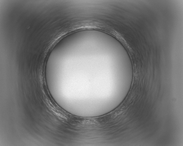 X0000056020386200508190926