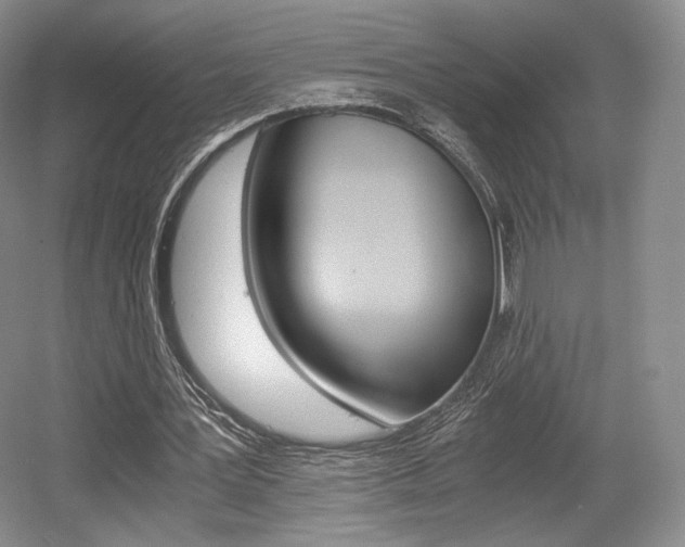 X0000056020387200508190926