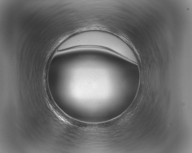 X0000056020389200508190926