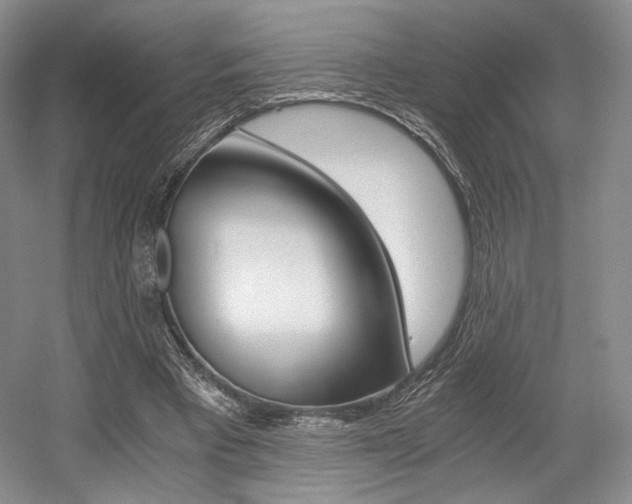 X0000056020393200508190926