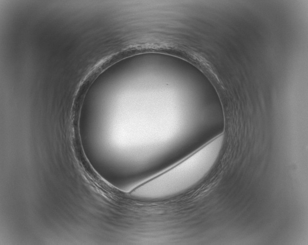 X0000056020395200508190925
