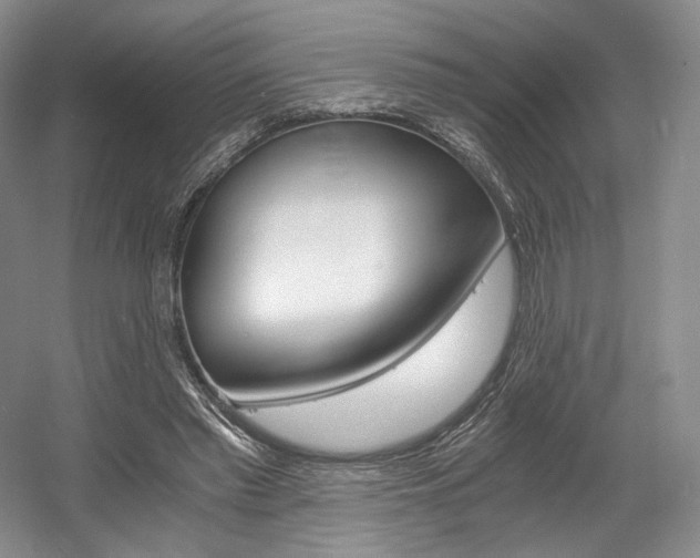 X0000056020397200508190925