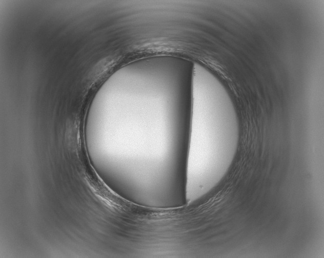 X0000056020398200508190925