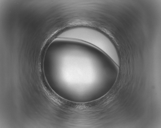 X0000056020399200508190925