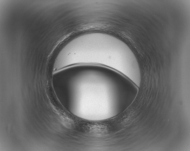 X0000056020400200508190925