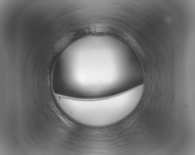 X0000056020401200508190925