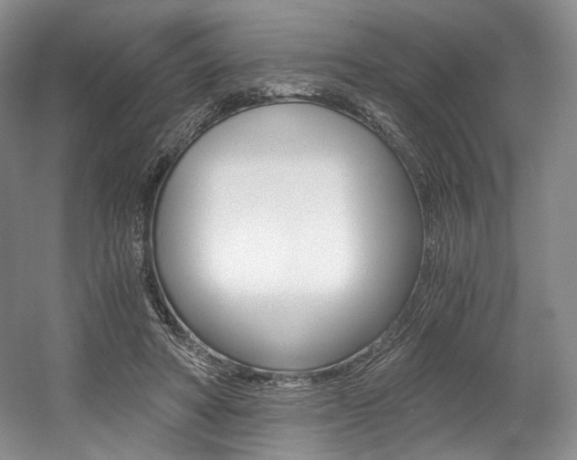 X0000056020402200508190925