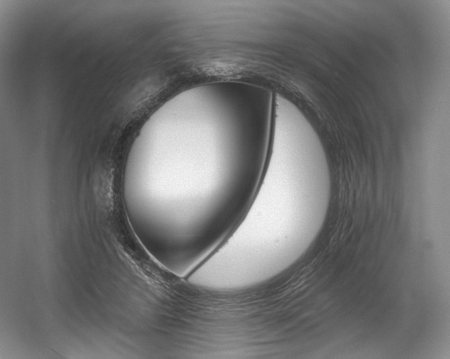 X0000056020404200508190925