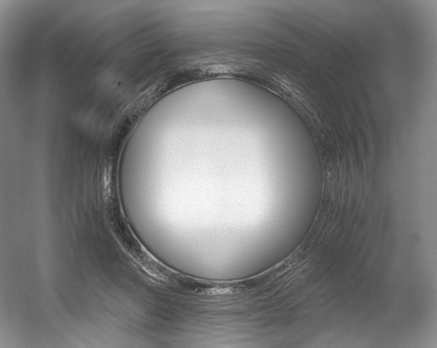 X0000056020406200508190925