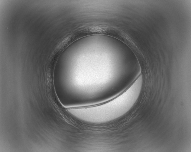 X0000056020407200508190925