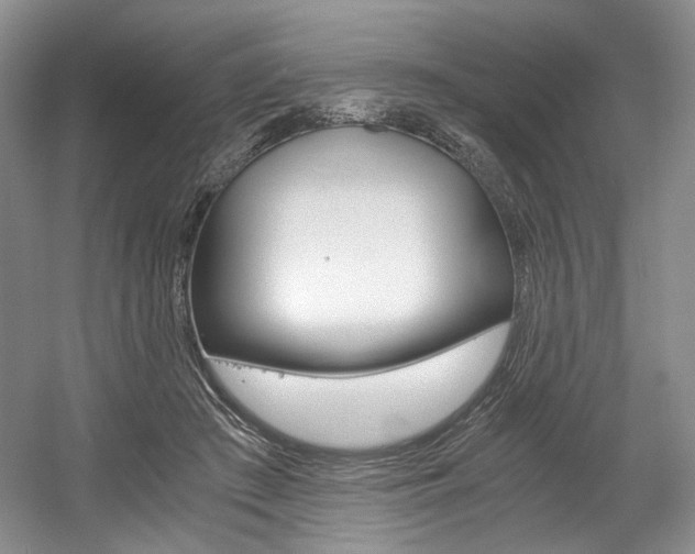 X0000056020409200508190925