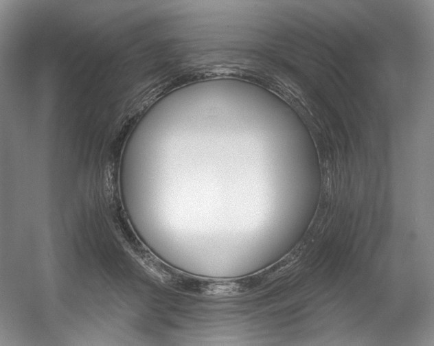 X0000056020410200508190925