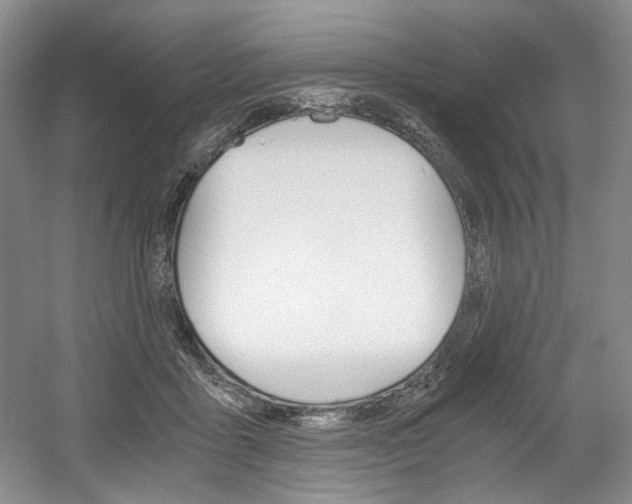 X0000056020411200508190925