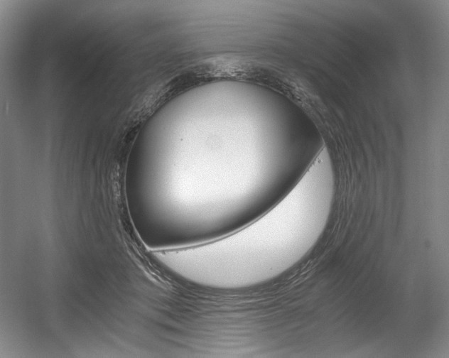 X0000056020413200508190925
