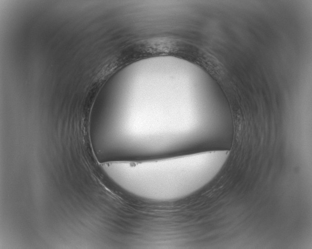 X0000056020414200508190925