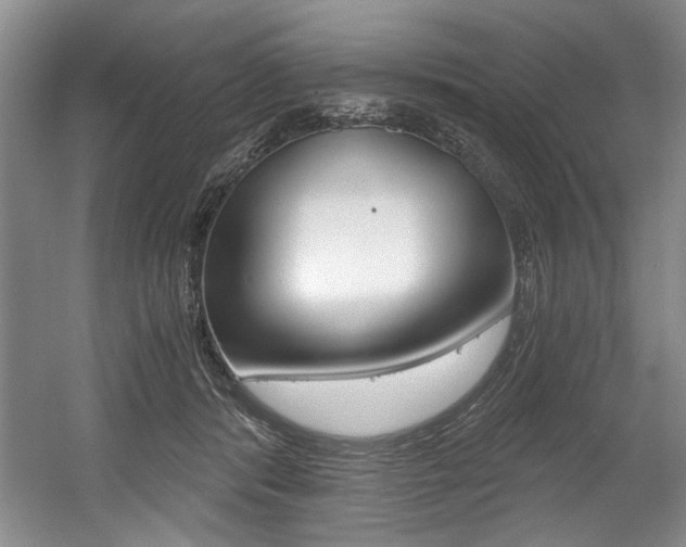 X0000056020416200508190925