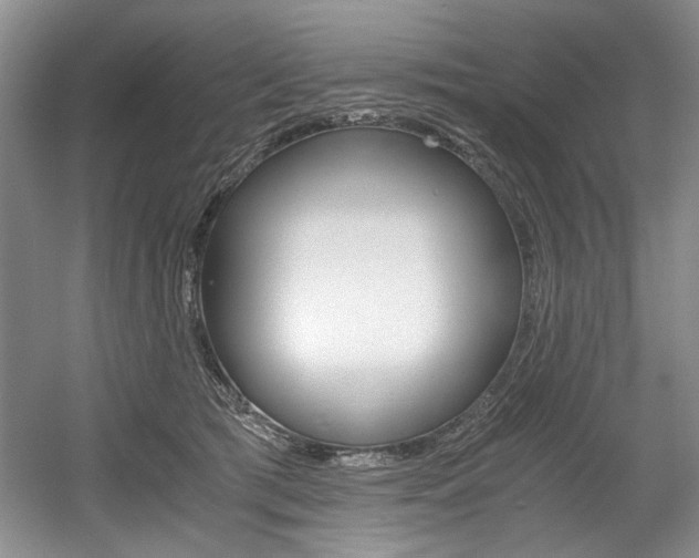 X0000056020417200508190925