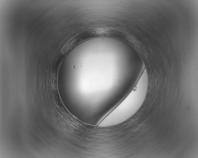 X0000056020421200508190925