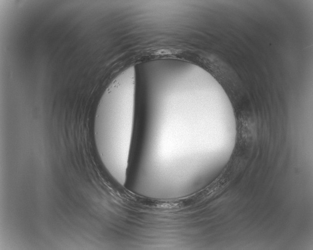 X0000056020422200508190925