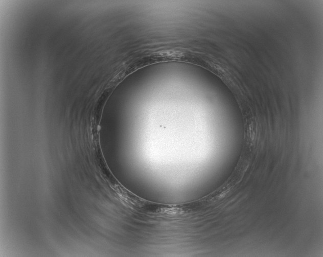 X0000056020424200508190925