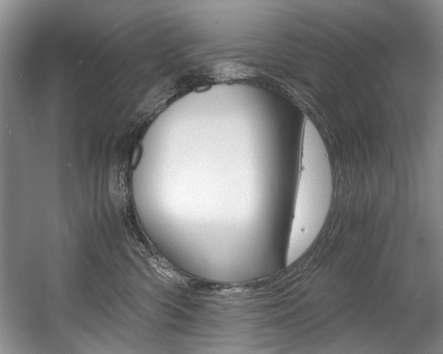 X0000056020426200508190925