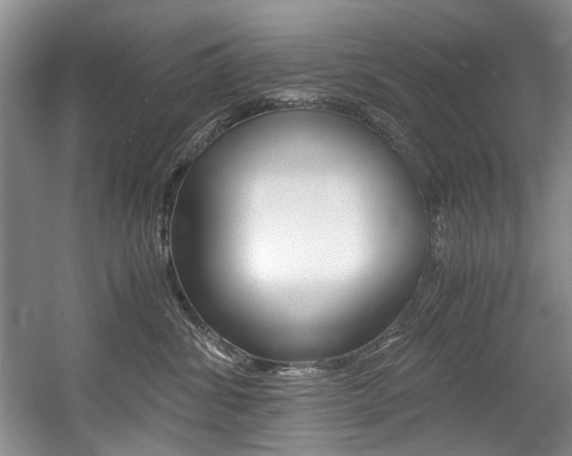 X0000056020428200508190925