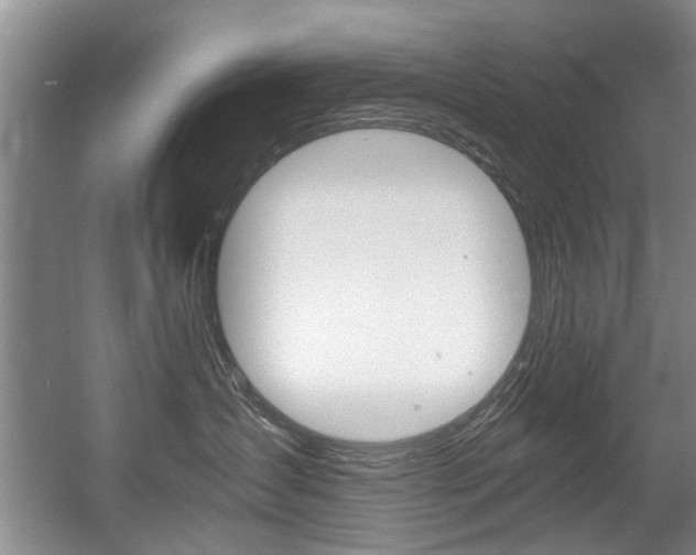 X0000056020431200508190925