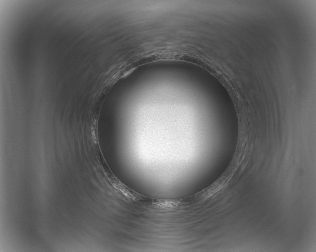 X0000056020432200508190925