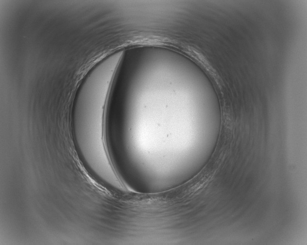X0000056020433200508190924