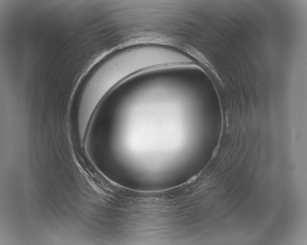 X0000056020436200508190924