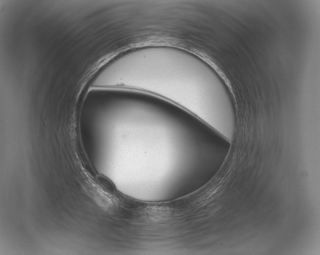 X0000056020437200508190924
