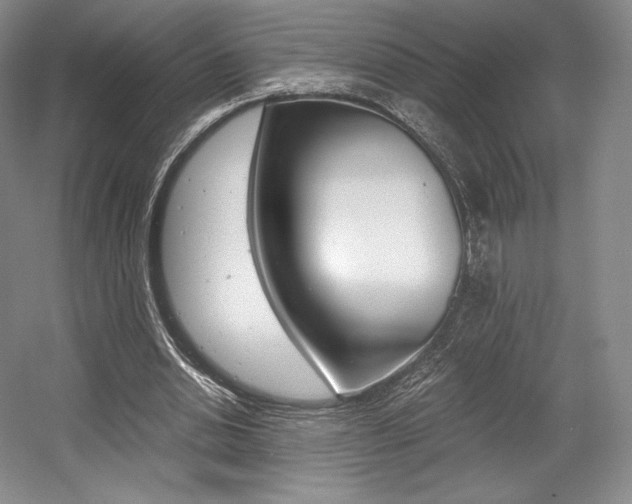 X0000056020438200508190924