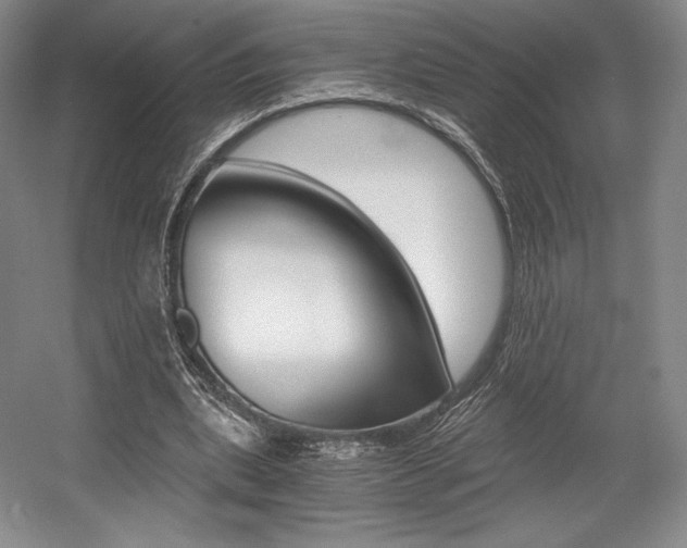 X0000056020439200508190924