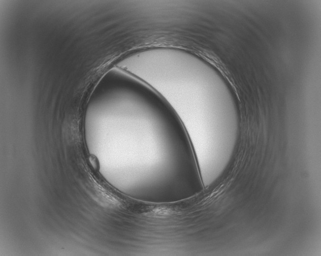 X0000056020441200508190924