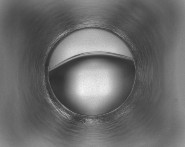 X0000056020442200508190924