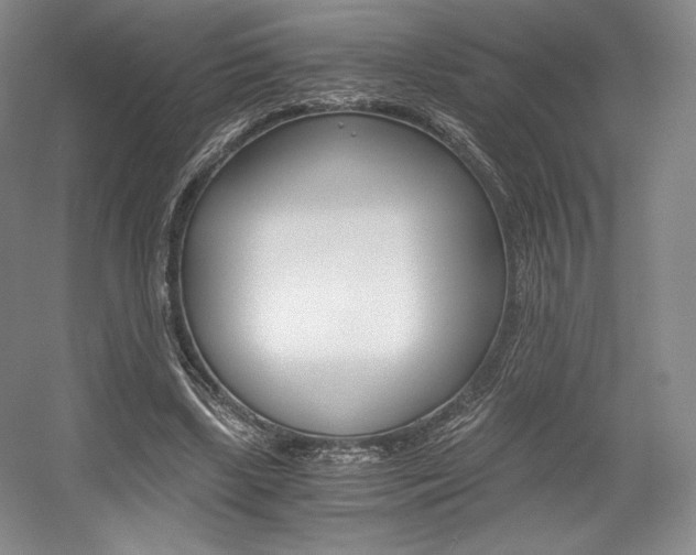 X0000056020443200508190924